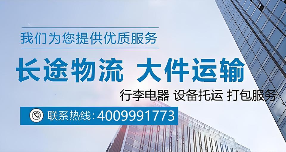 10年专注货运代理行业